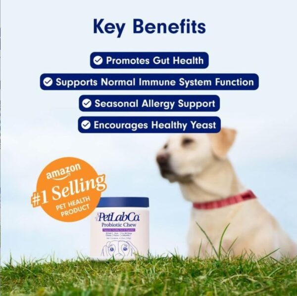 PetLab Co. Probiotics for Dogs, Support Gut Health, Occasional Diarrhea, Digestive Health & Seasonal Allergies - Pork Flavor - 30 Soft Chews - Packaging May Vary - Image 11